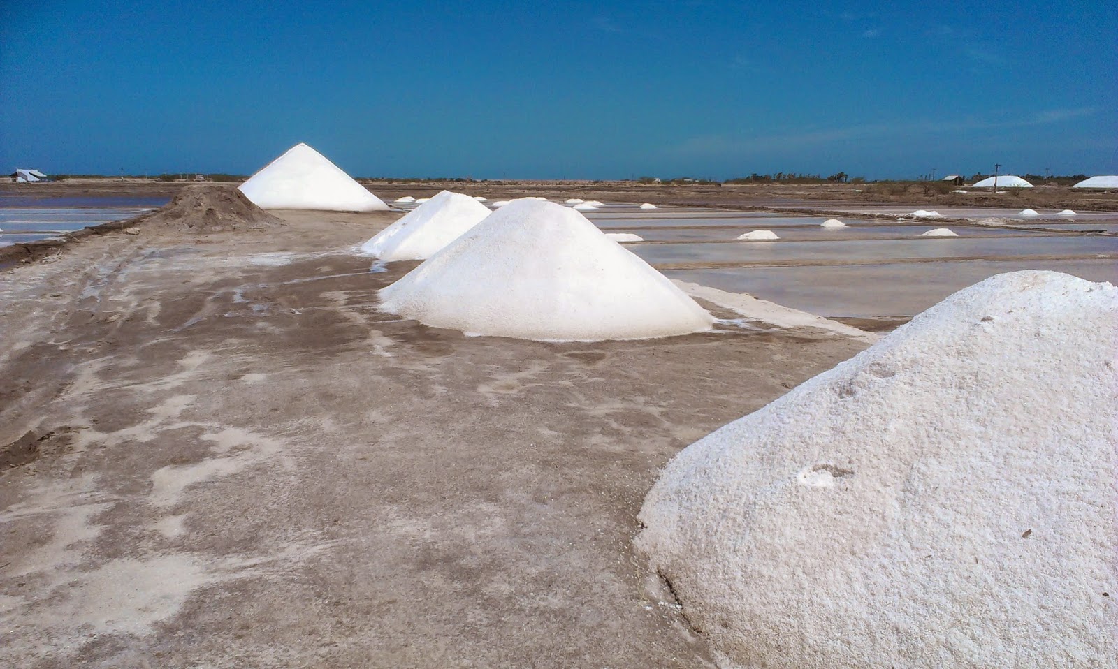 Dhanushkodi, Salt farm