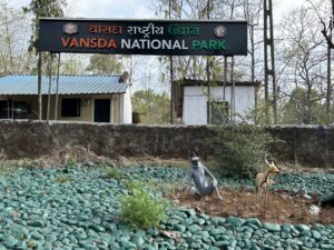 Vansada national park