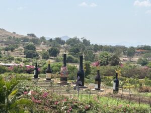 Sula vineyards